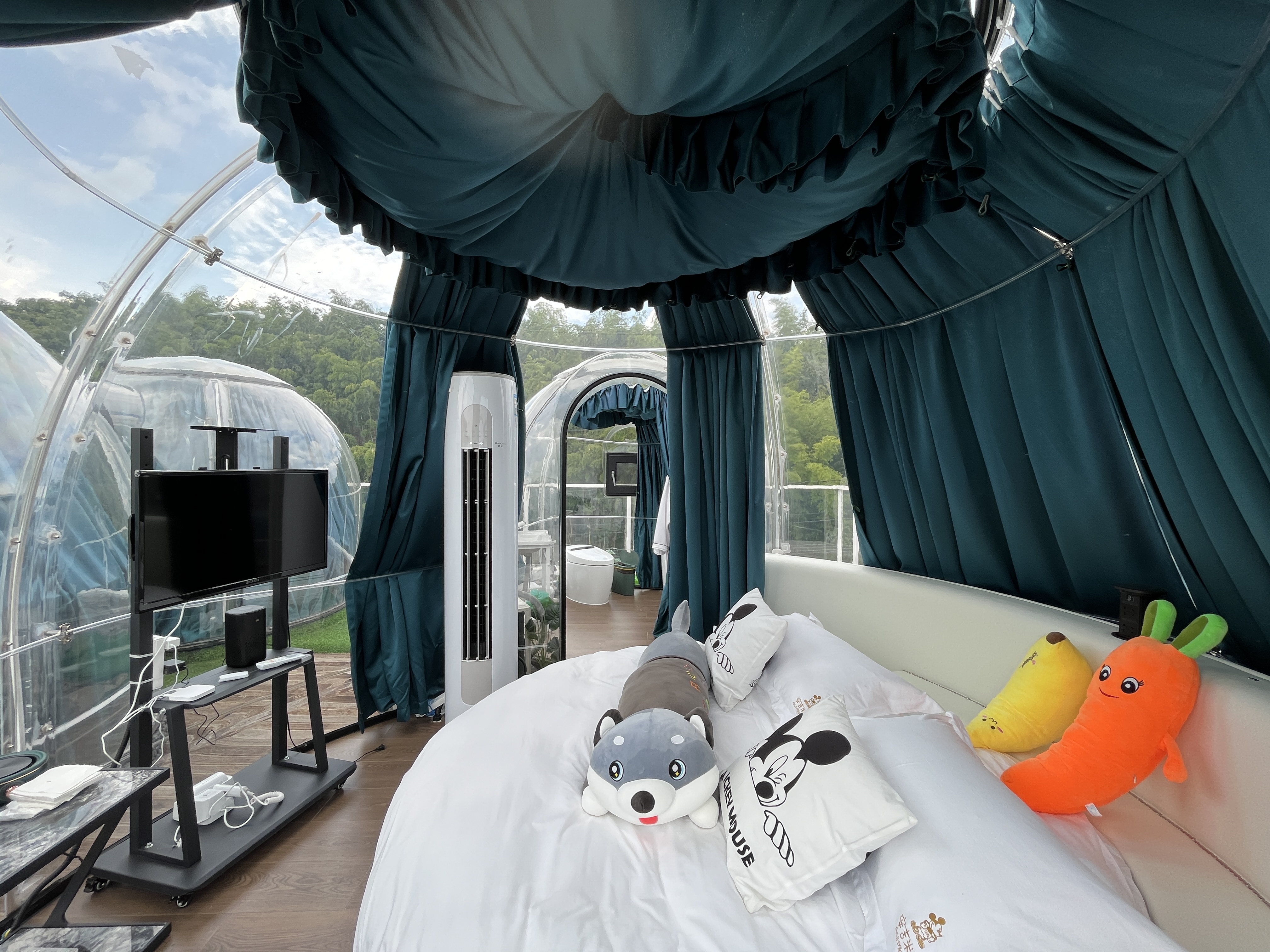 带卫生间的民宿星空房,满足你不同的需求