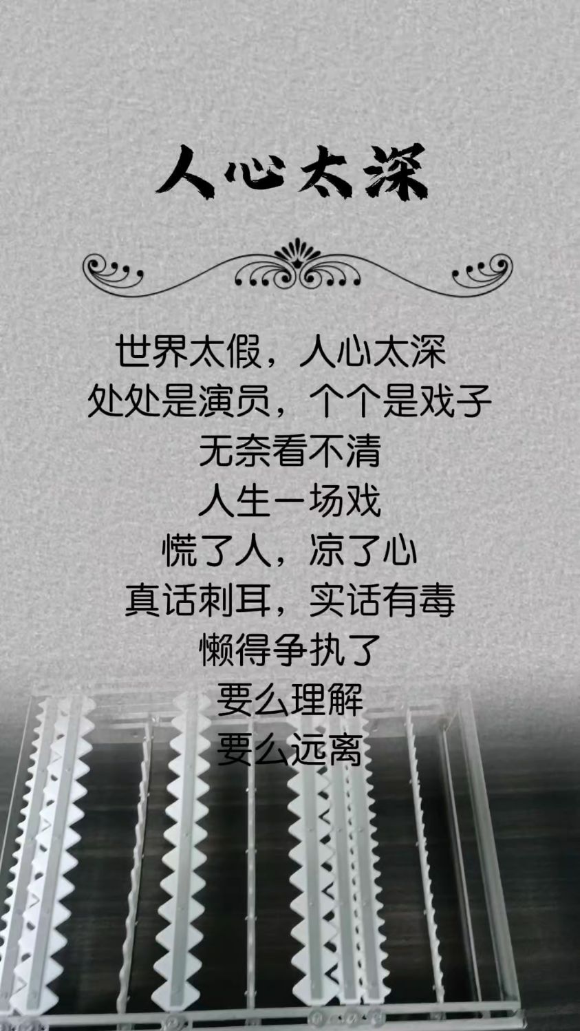 世界太假,人心太深