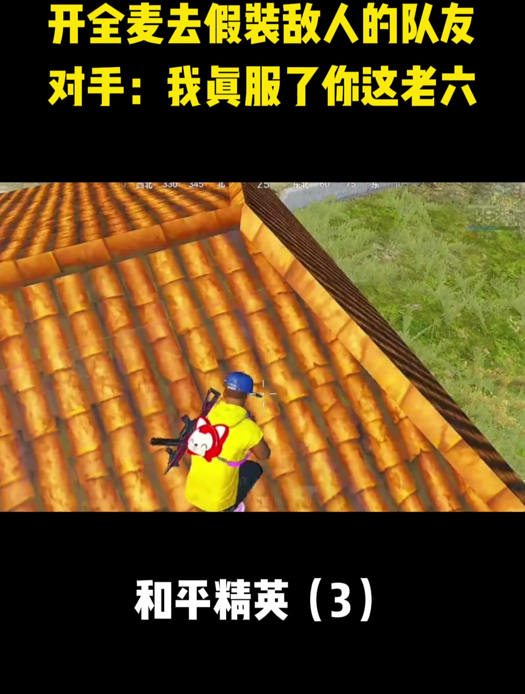 和平精英!我拿你当个队友,你居然拿我当憨批