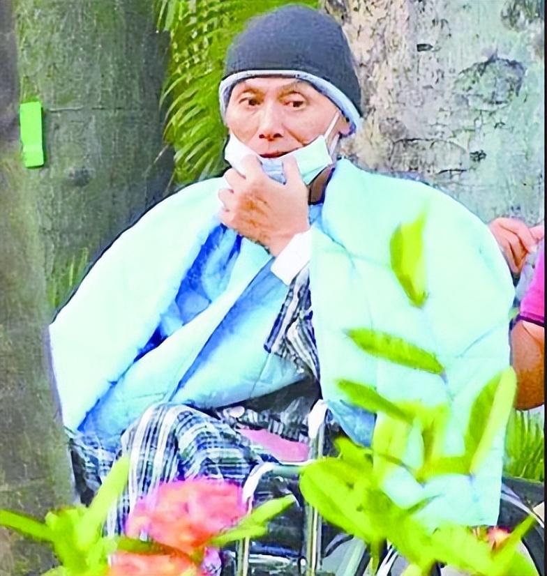 《太极宗师》的樊亦敏,不仅在身边照顾还帮刘家辉讨回来百万的财产