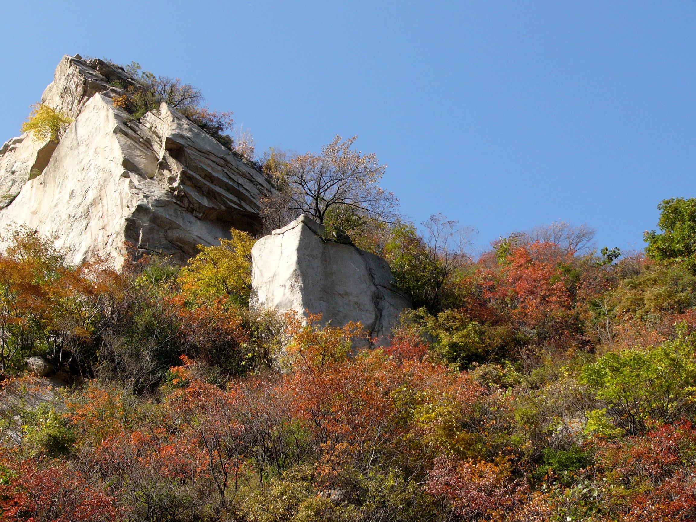 云雾飘逸紫阁峪,紫阁峪内还有很多景点:张良洞,万花山,一线天,蟒头山