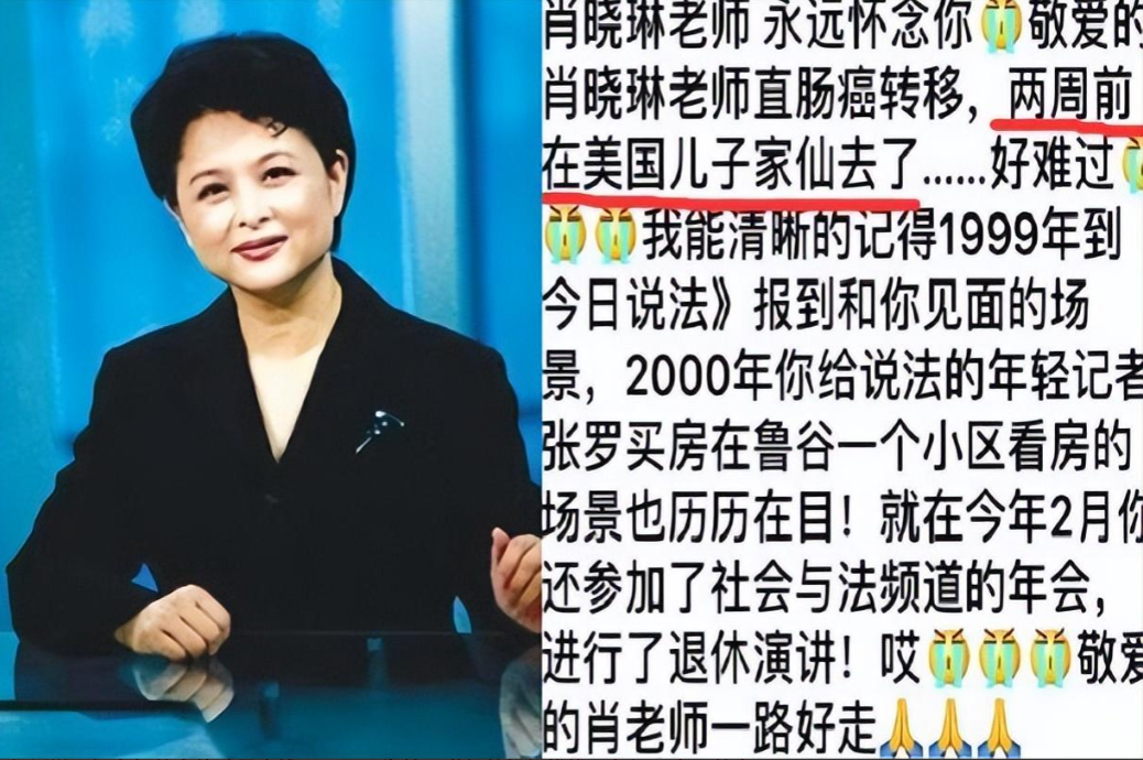 回顾肖晓琳央视主持30年退休不到五个月在他乡去世了