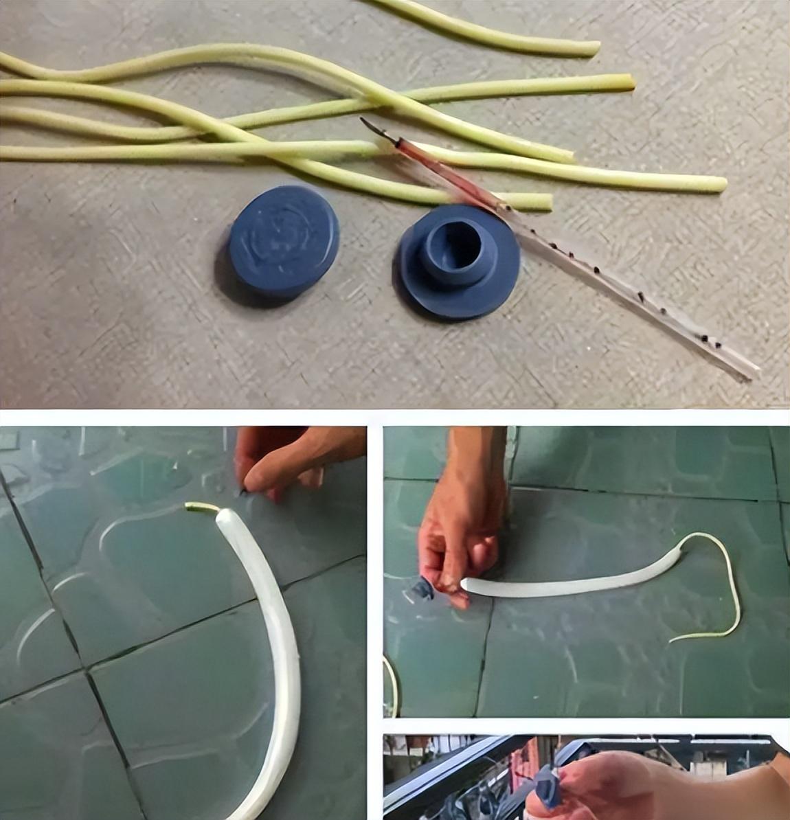 当然也有调皮的孩子会自己制作弹弓,找到一个树杈,大小合适的,用小刀