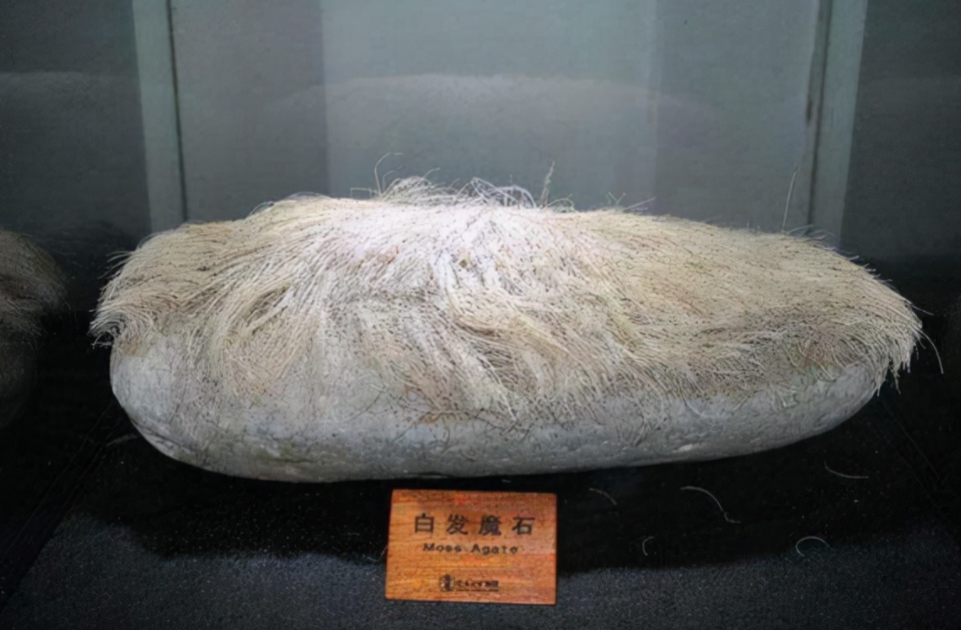8万买下一块长满白发的石头,半年