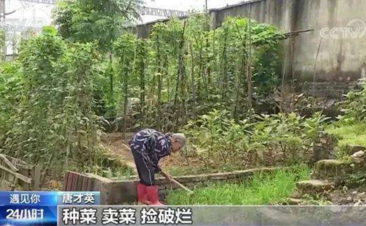 2021年江西24岁小伙与85岁老人拍婚纱照背后原因令人泪目