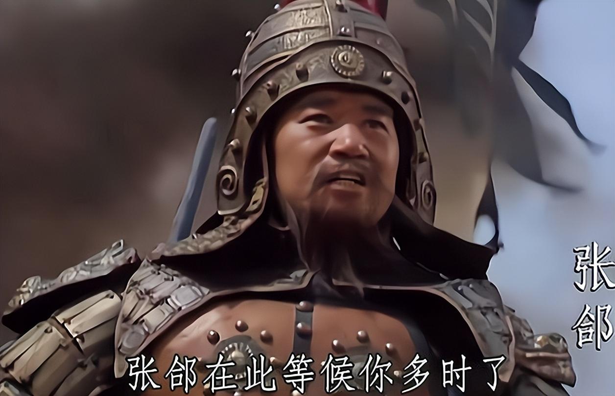 张飞张任张辽张郃张绣5大张姓名将谁强谁弱谁排第1