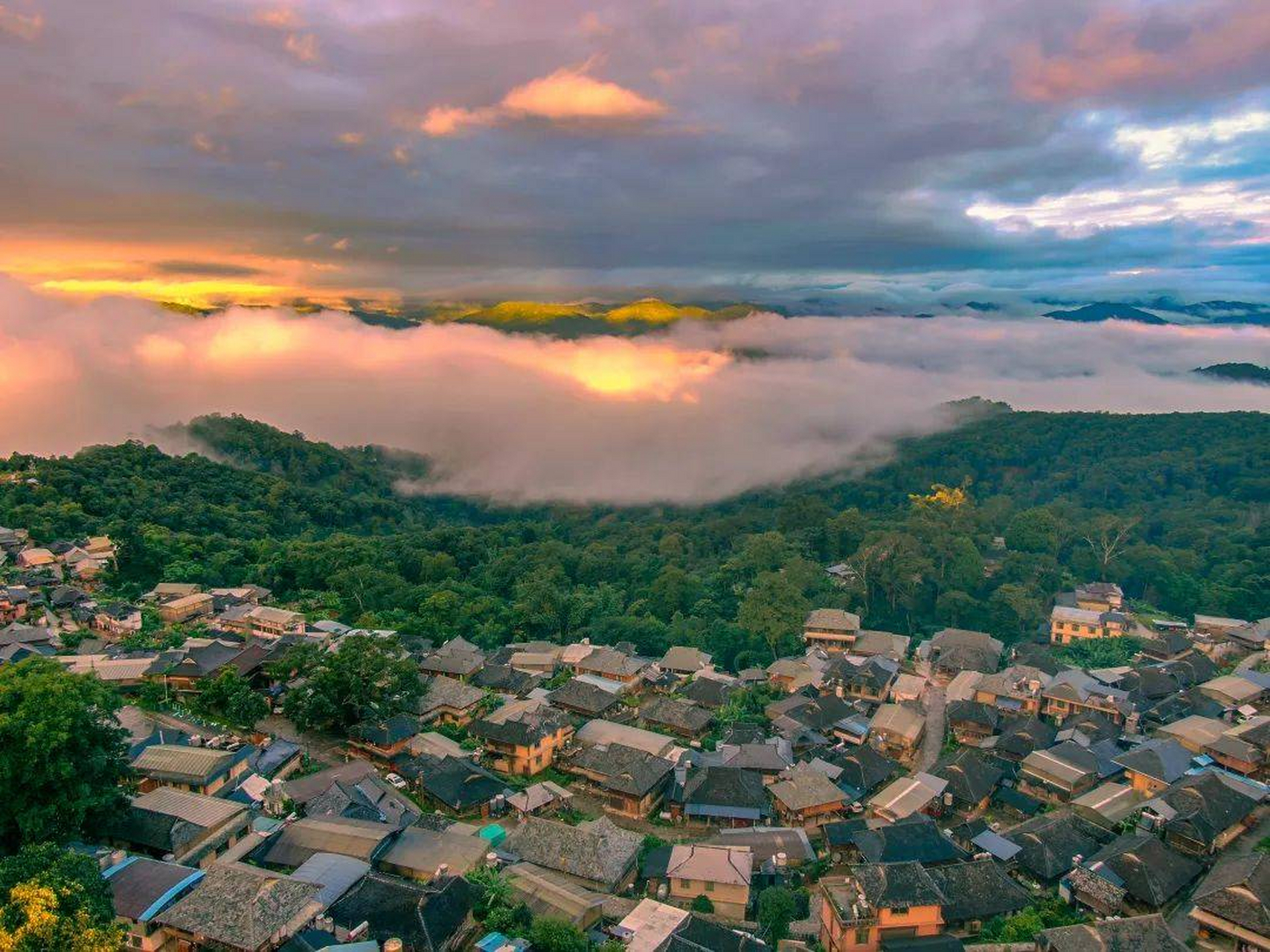 探访全球首个茶主题世界文化遗产——云南景迈山!