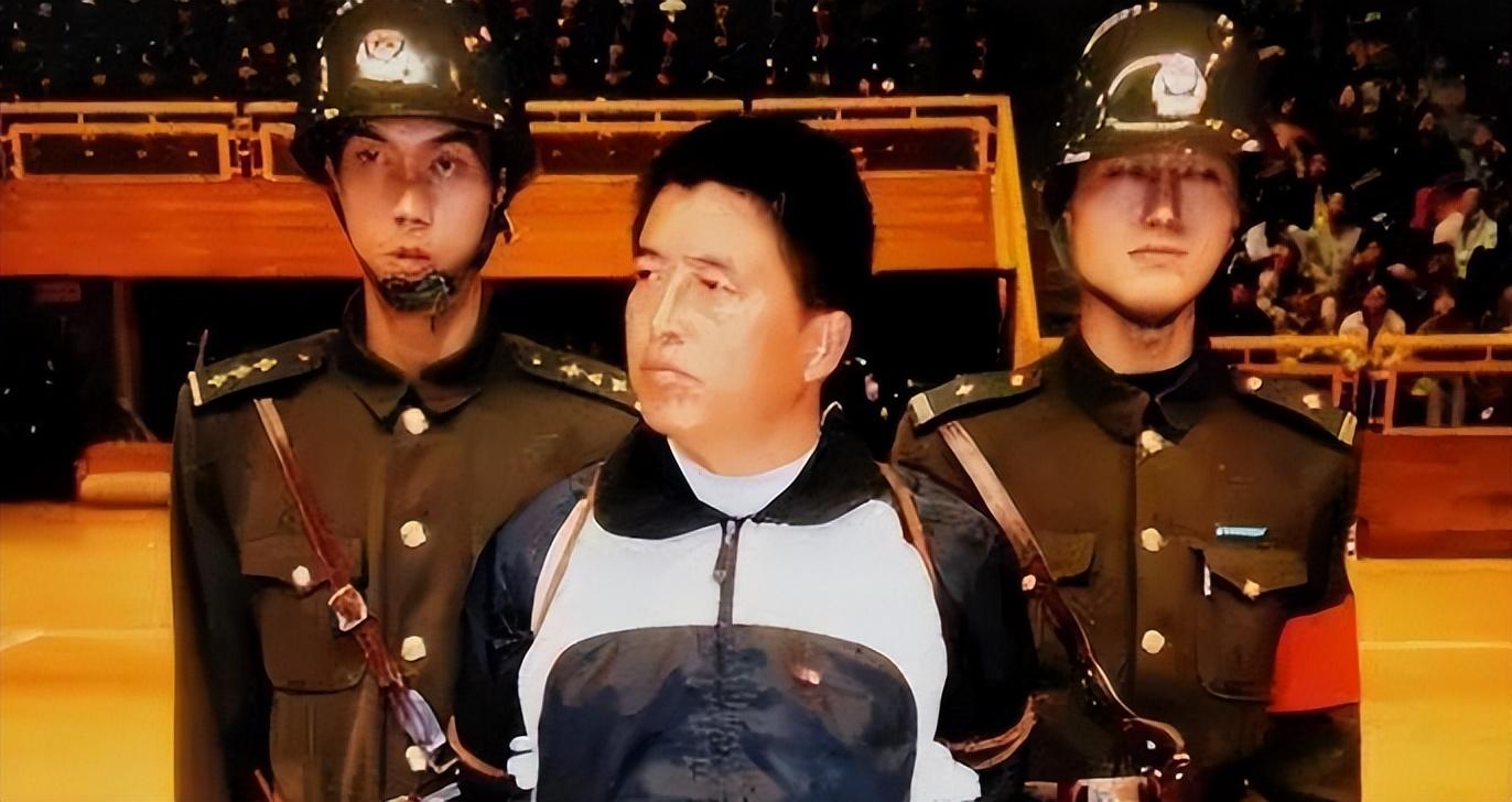 峰回路转,破茧重生