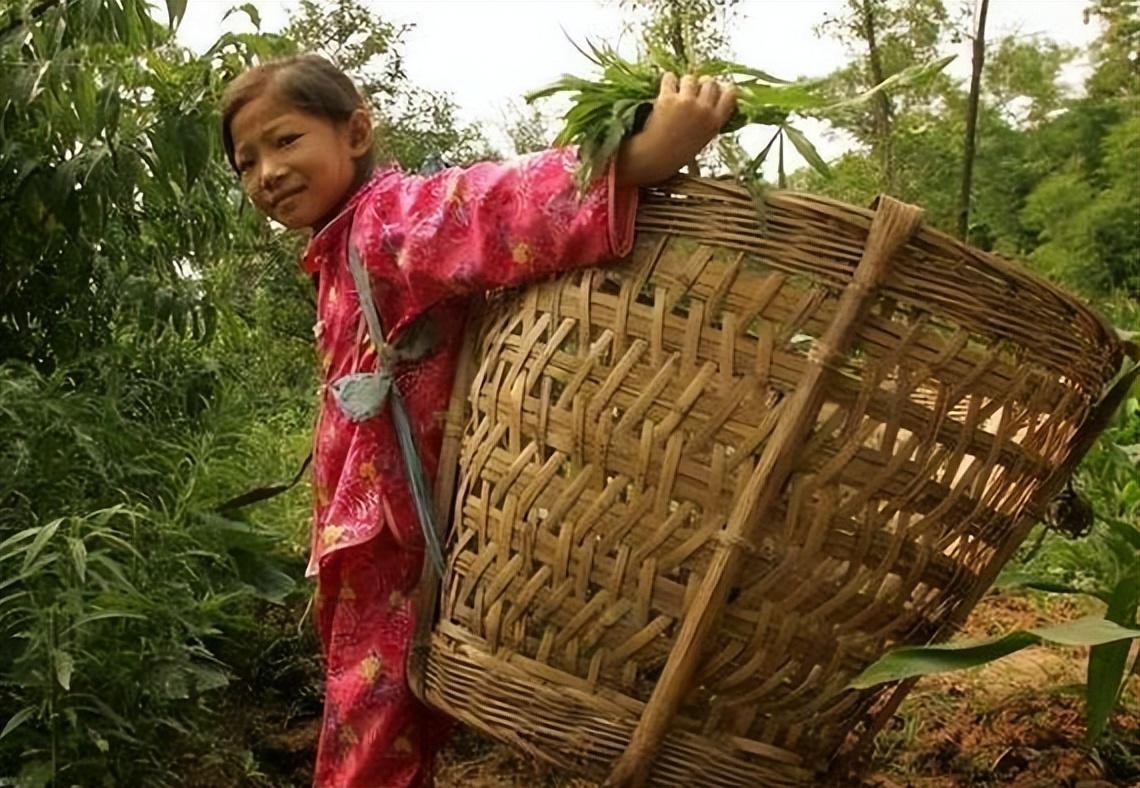 05年四川八岁女孩患上白血病自愿放弃治疗一封遗书令人泪目