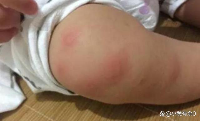 九成人不晓得蟑螂天敌是啥屋里放个它蟑螂消失了