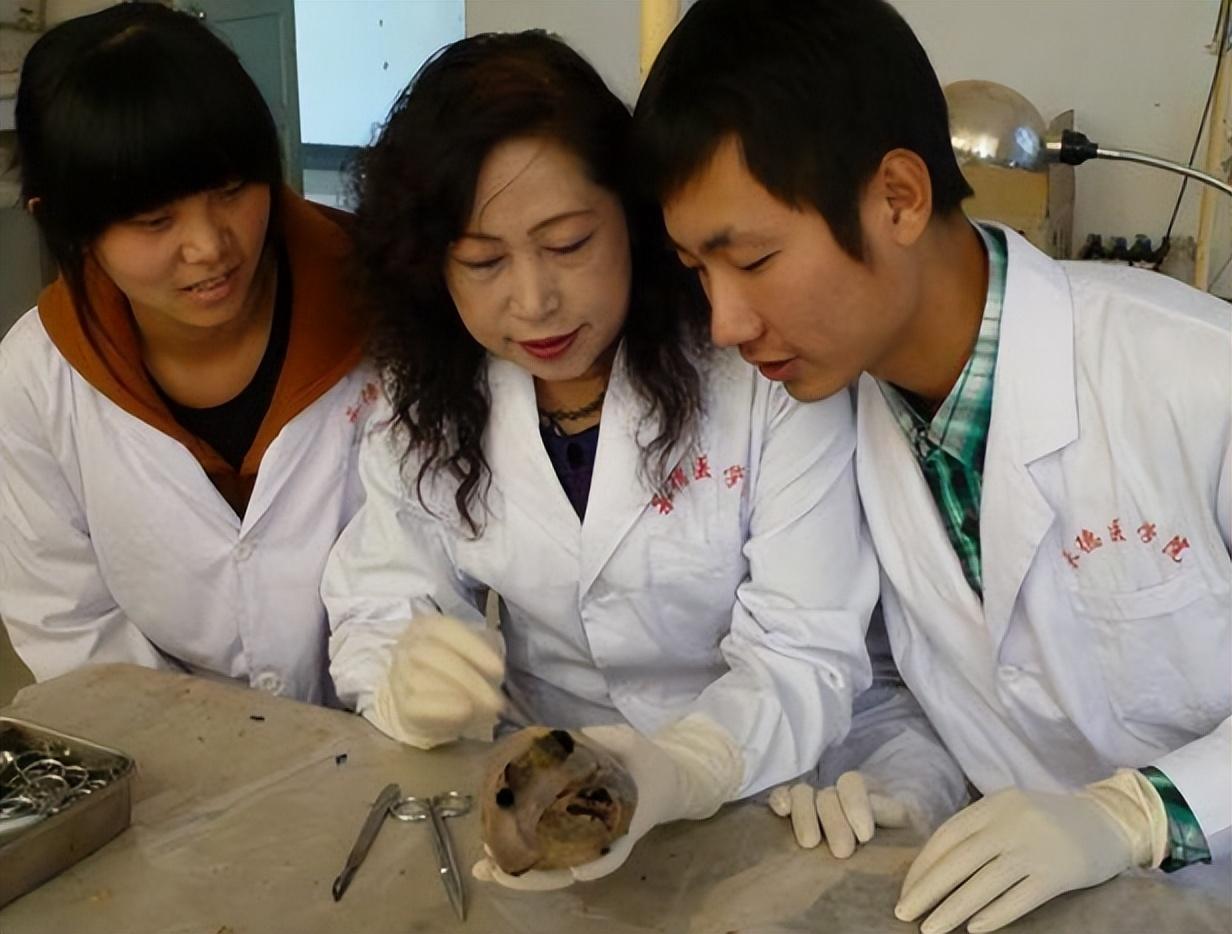 人体标本制作师没有固定休息时间每年处理50具遗体全靠捐献