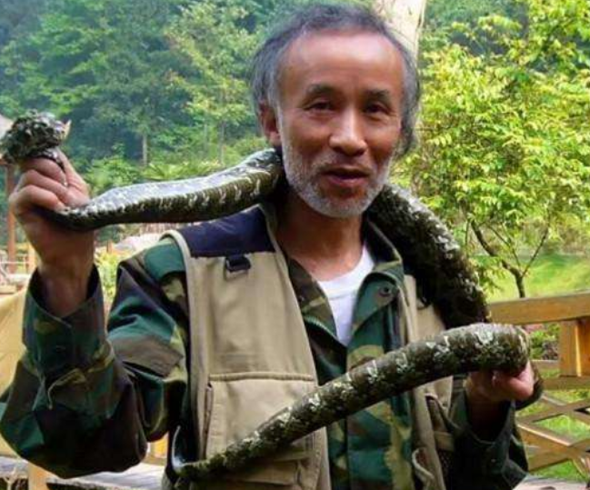 在此之后,陈远辉也没有放弃对莽山烙铁头蛇的研究,在2010年,陈远辉