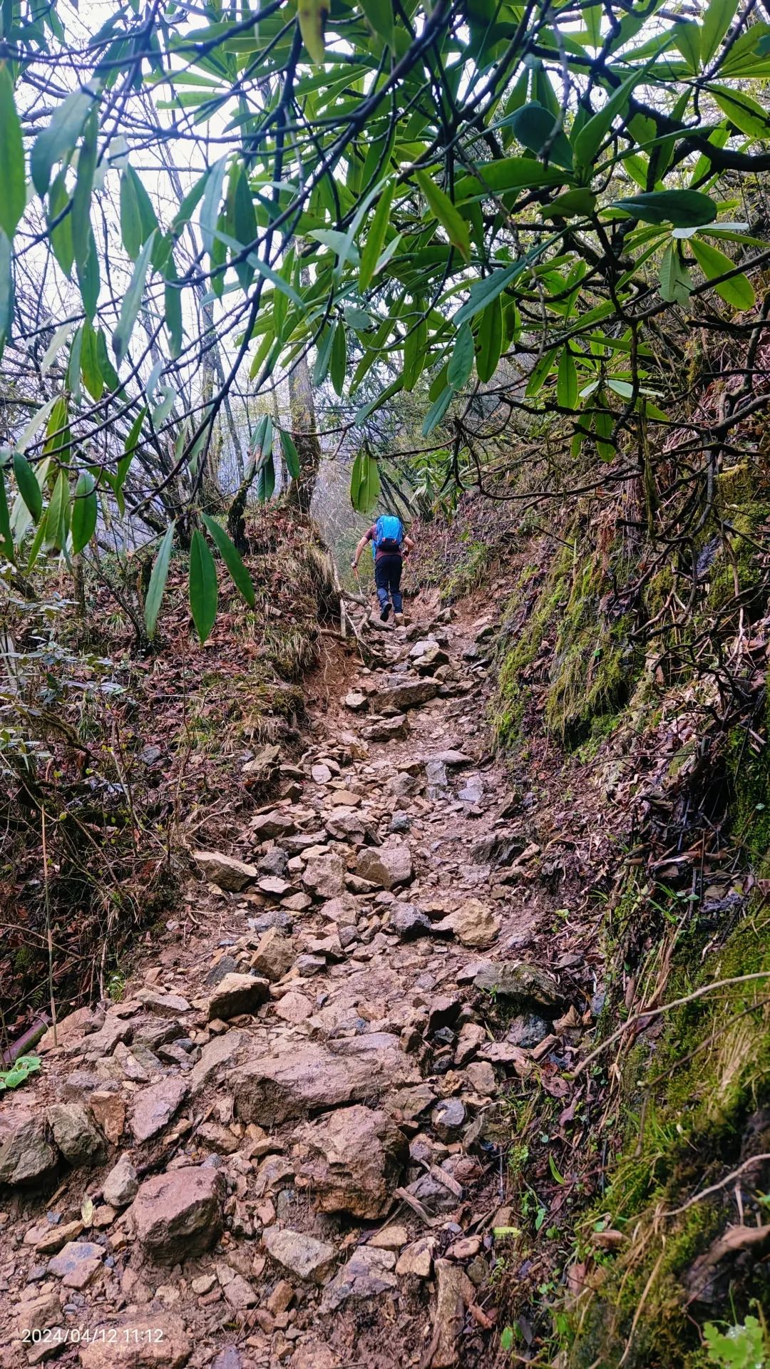 成都九峰山海拔图片