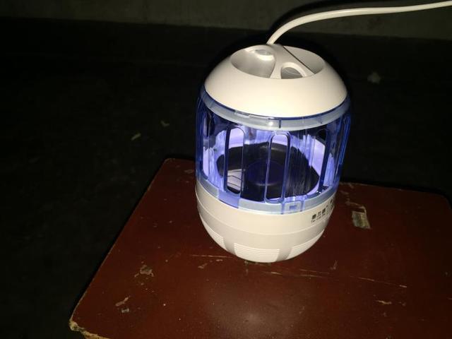 九成人不知蚊子的天敌是啥教你一个笨招整夜开窗都不用怕