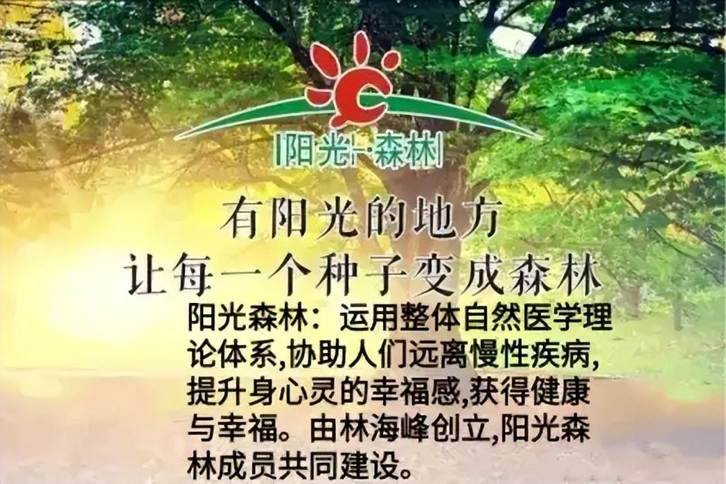 阳光森林林海峰告别图片