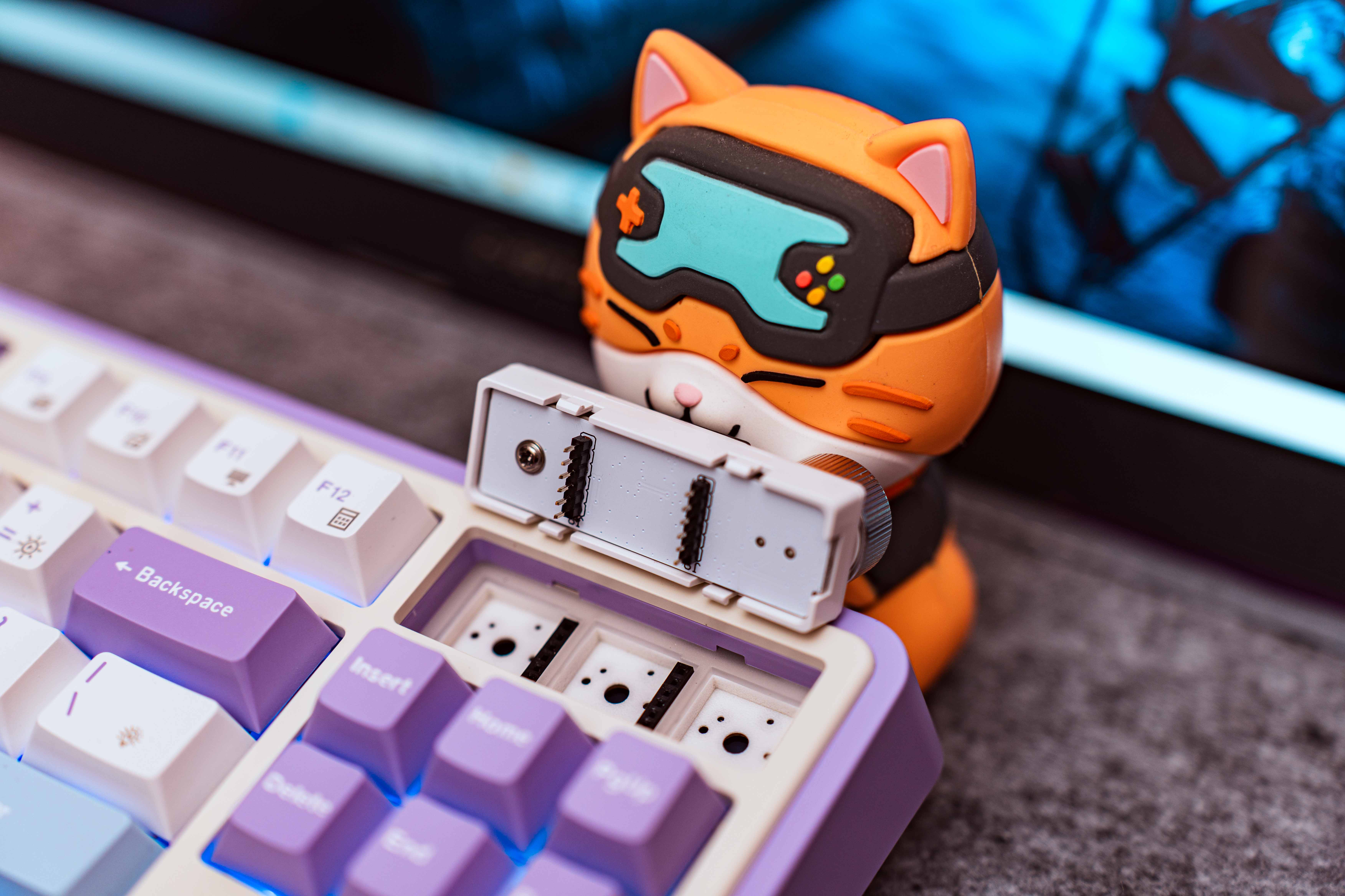 黑爵ak870丨好看好玩还好用不到200的新晋卷王