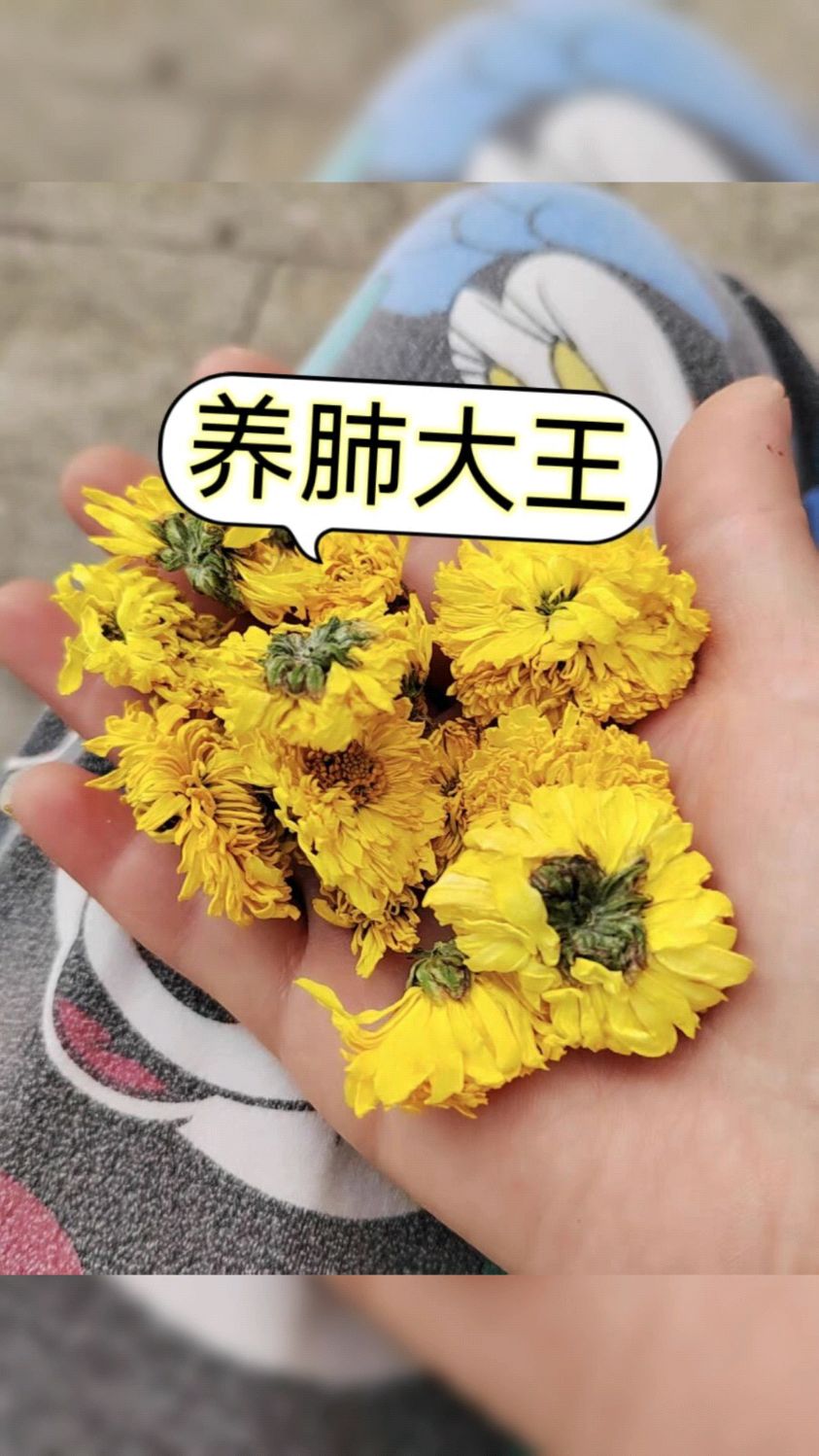 2种野花,是天然消炎大王,肺轻松