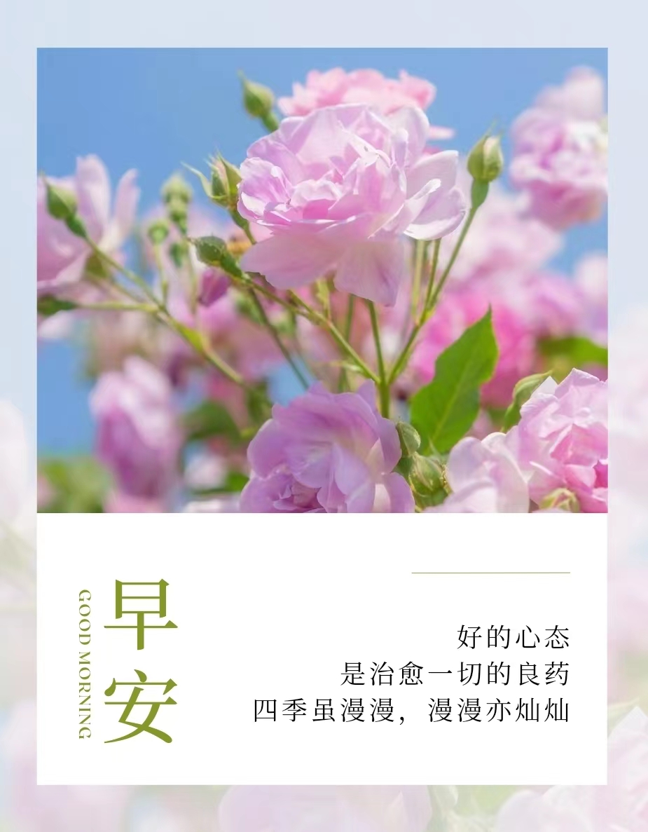 周六早上发朋友圈文案 早安美图精选!  1.