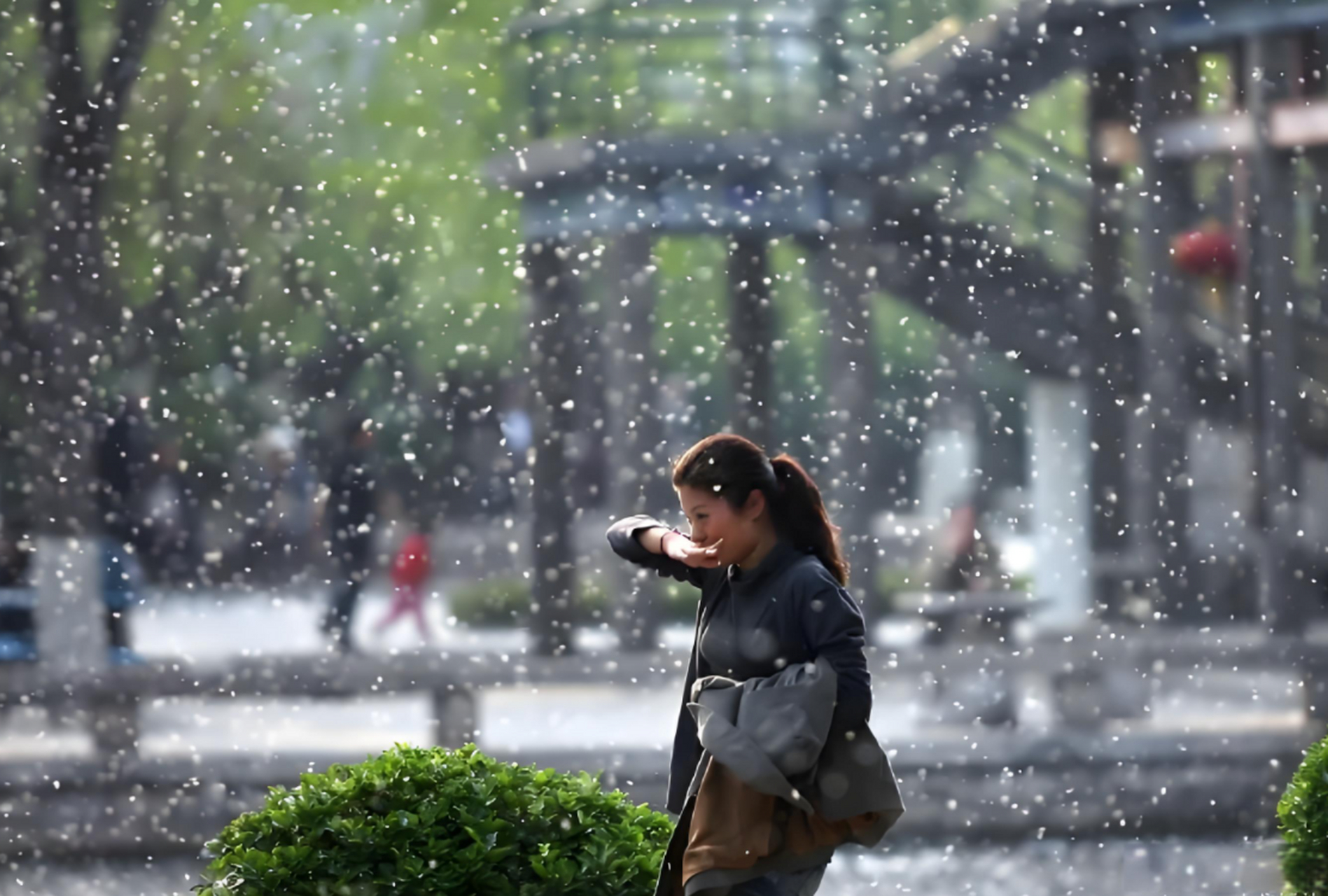 朋友们,最近是不是感觉漫天飞絮,鼻子痒痒的,眼睛也难受?