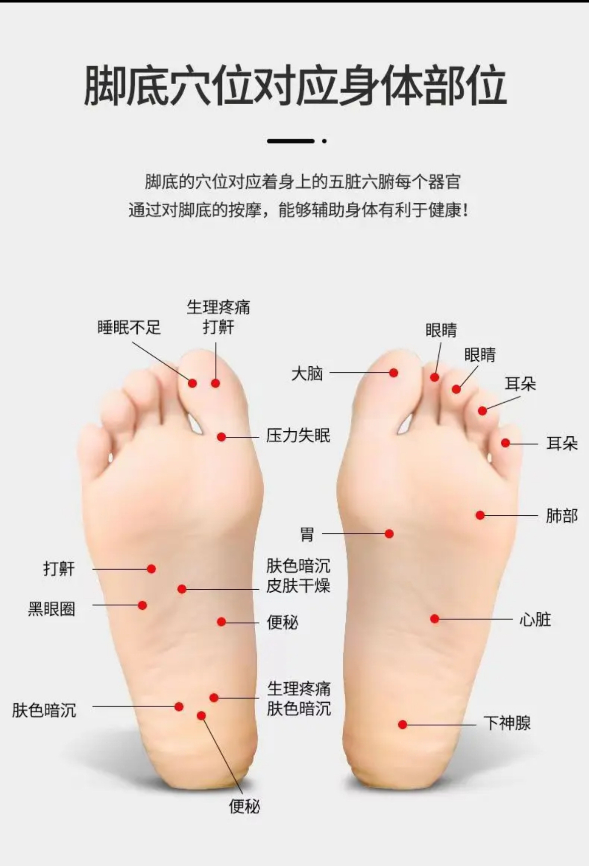 足底有66个穴位