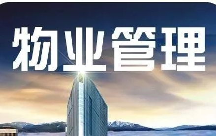 政府物业怎么管理(政府管理物业公司应管理哪些内容)