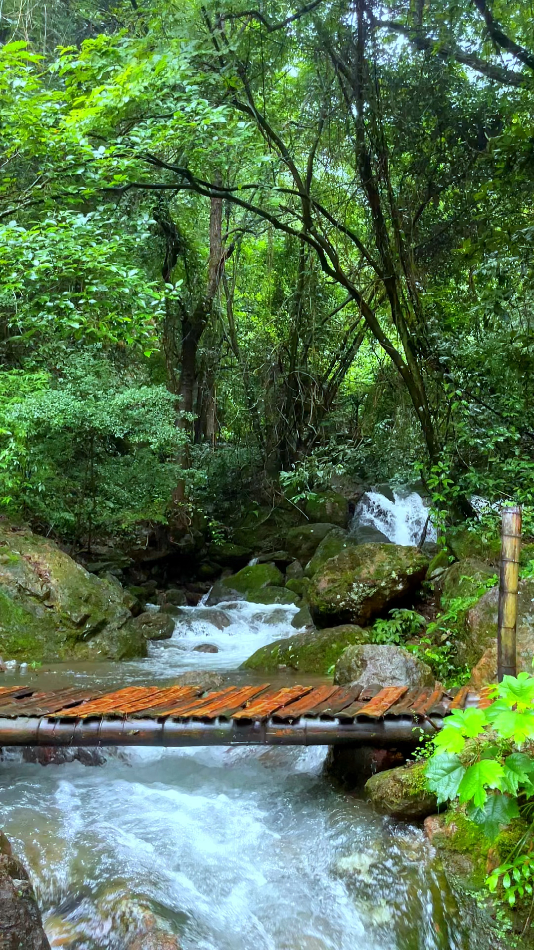 在浙江也能找到山水如画的风景,位于义乌赤岸松瀑山