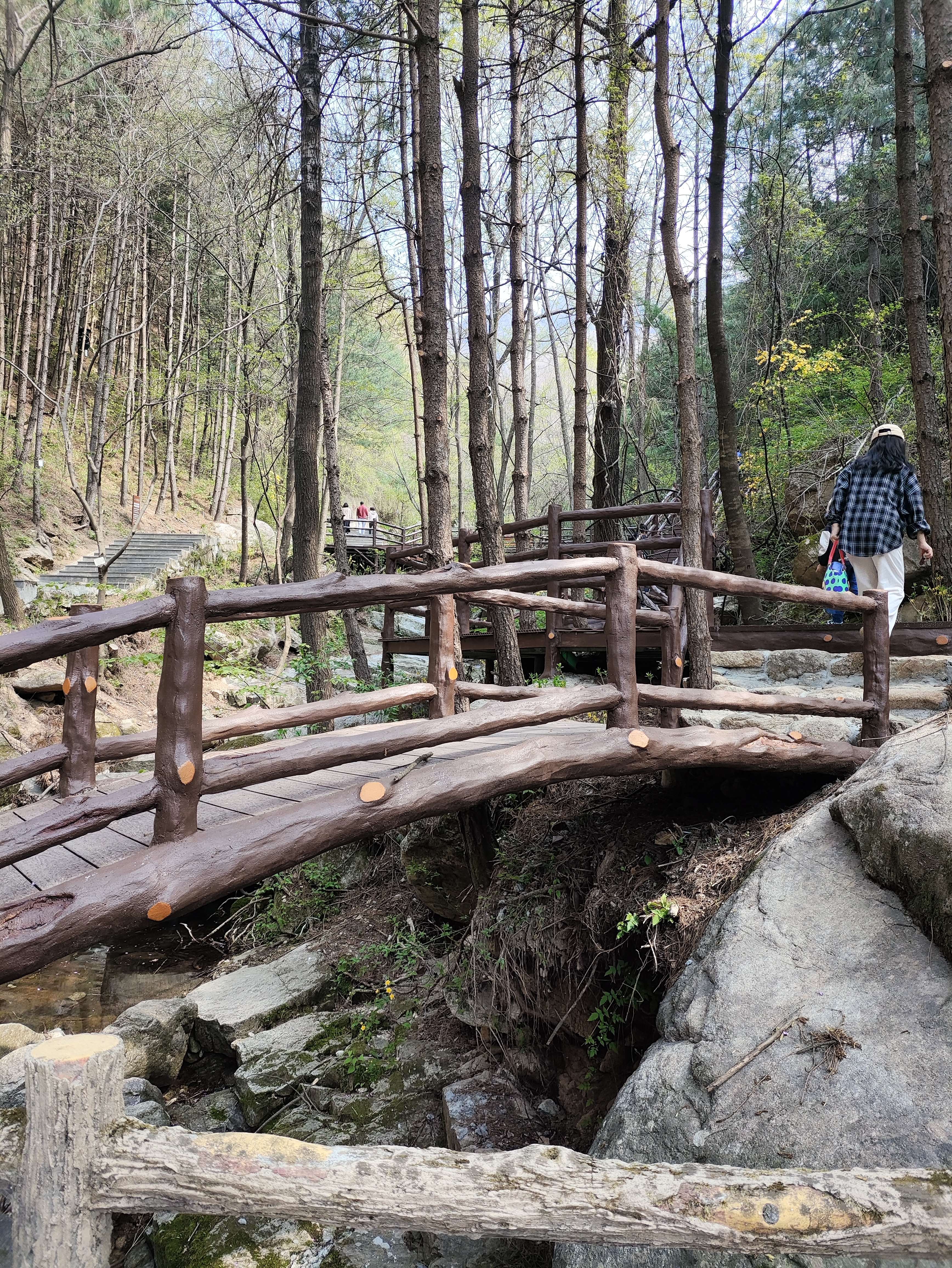 王顺山景点图片图片