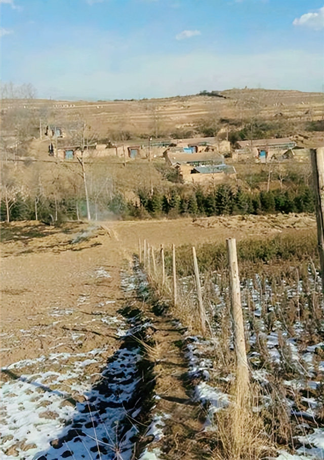 远嫁青海农村晒晒婚房,厨房巴掌大,公婆睡客厅,估计你没见过