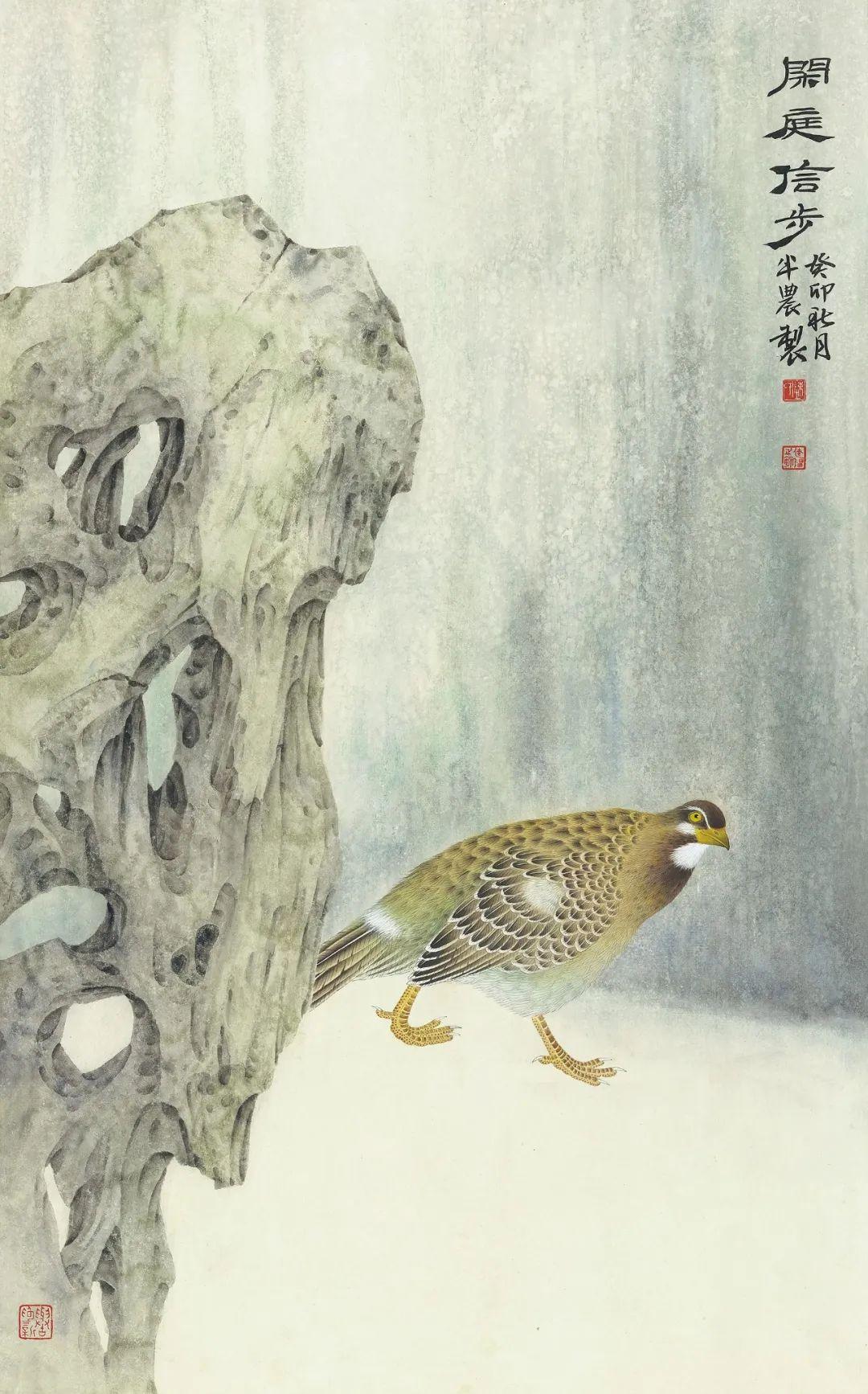 陈建强-花鸟精品选集