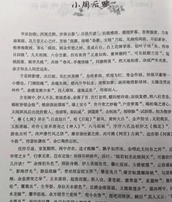 堆砌辞藻图片