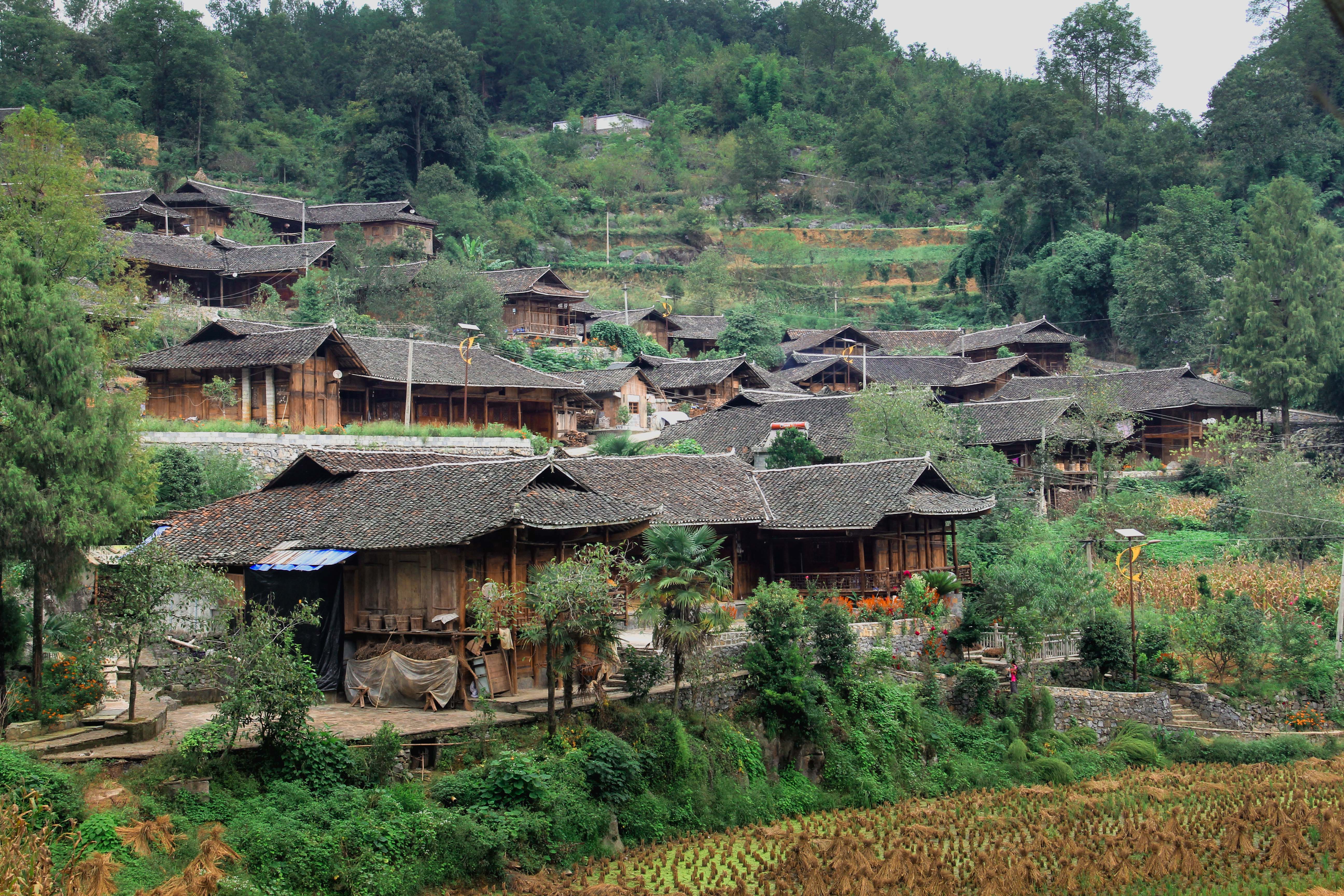 重庆四季好风光# 彭水的鞍子苗寨,如果没来过,那就太遗憾了,重庆最原