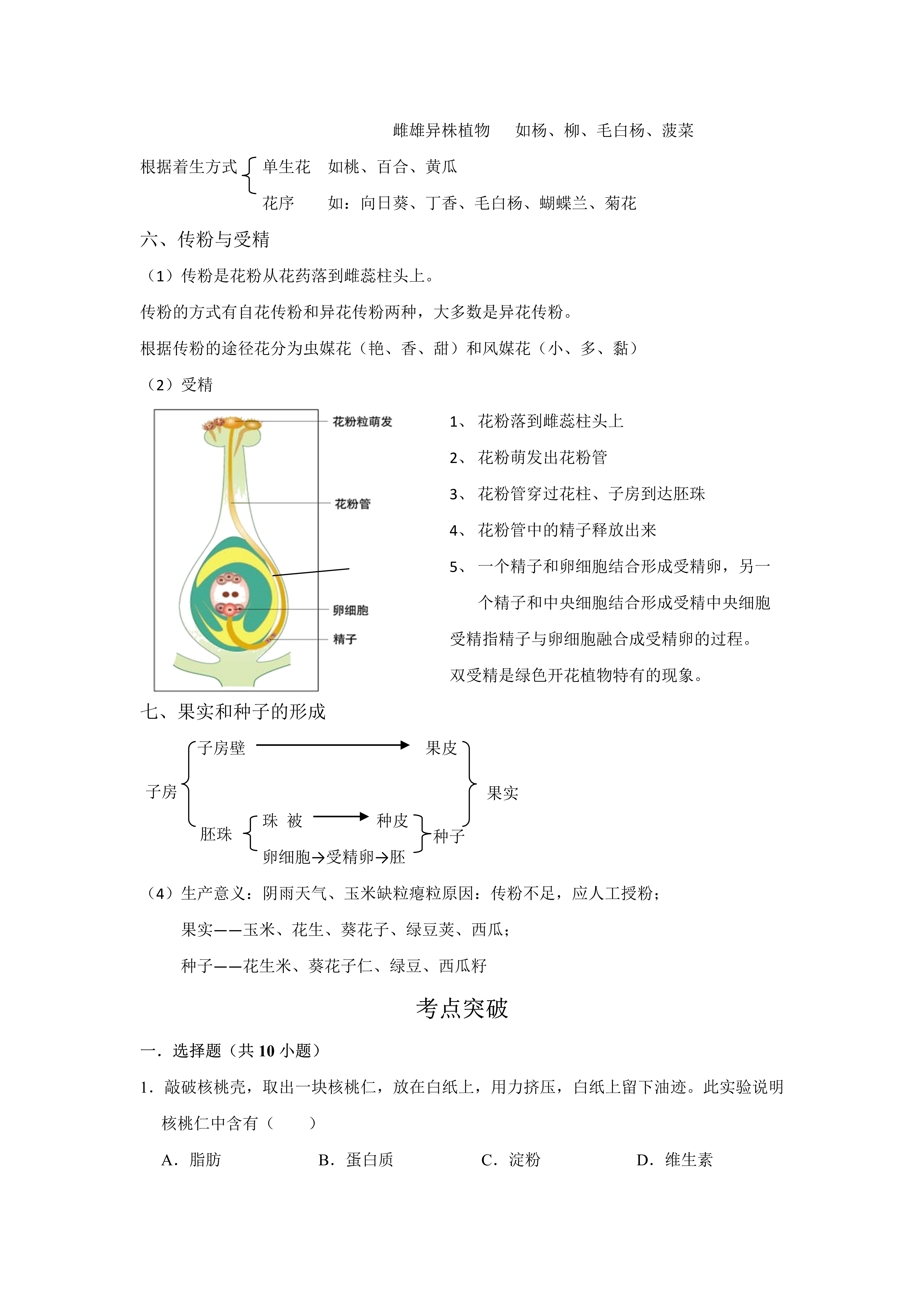 玉米胚纵切图结构名称图片