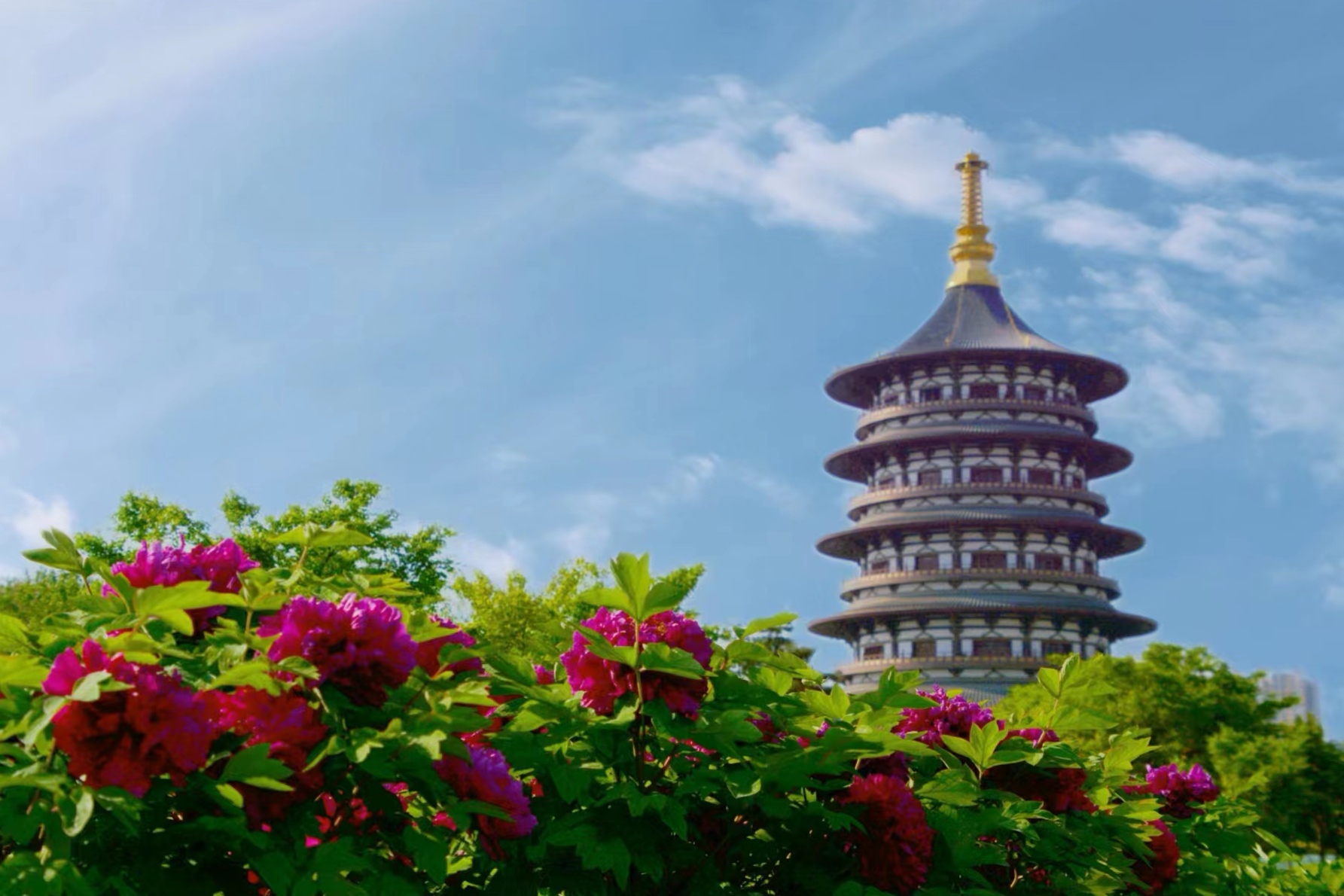 春游河南洛阳,在洛阳隋唐洛阳城九洲池景区