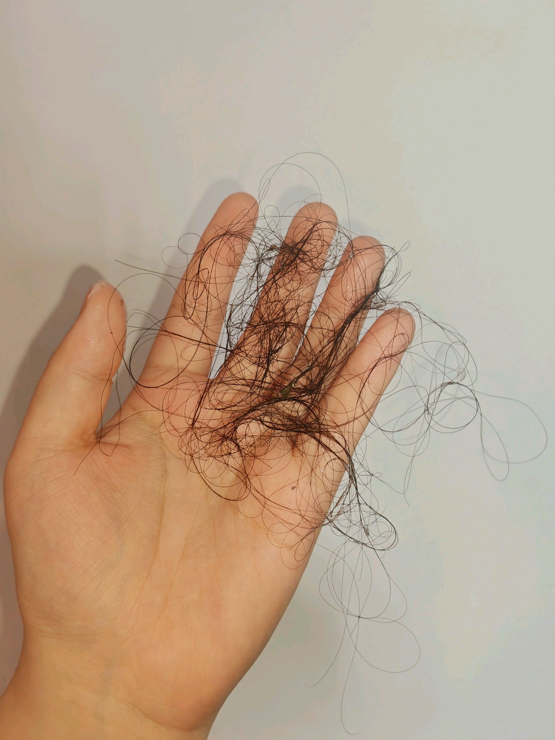 你信不信?掉头发真的与你用什么牌子的洗发水有很大的关系!