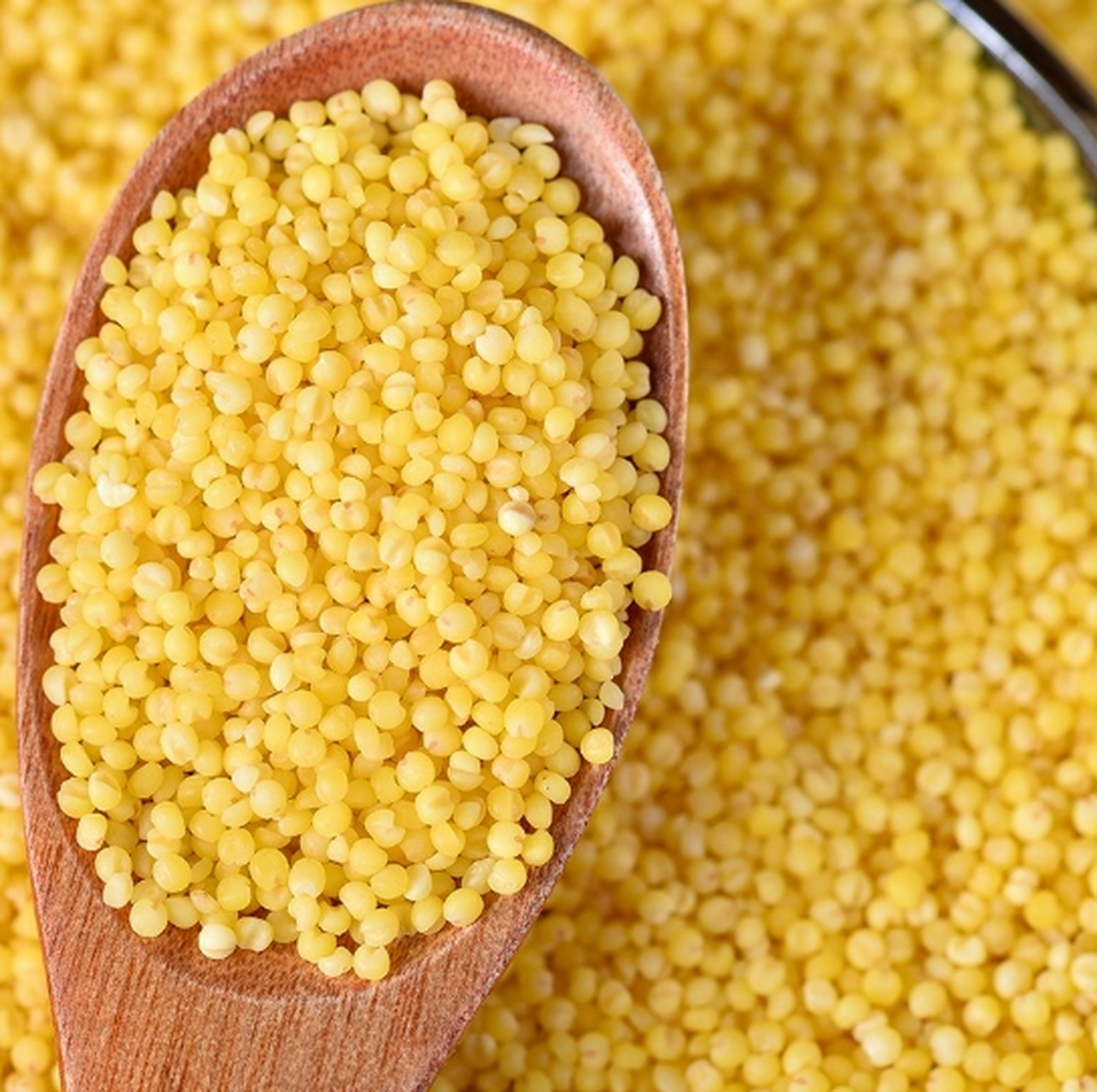 谷子和黍子是中国重要的粮食作物,具有不同的种植环境,生长周期,营养