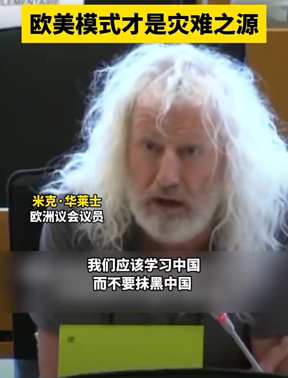 欧洲议会议员米克·华莱士说:"欧美模式才是灾难之源.