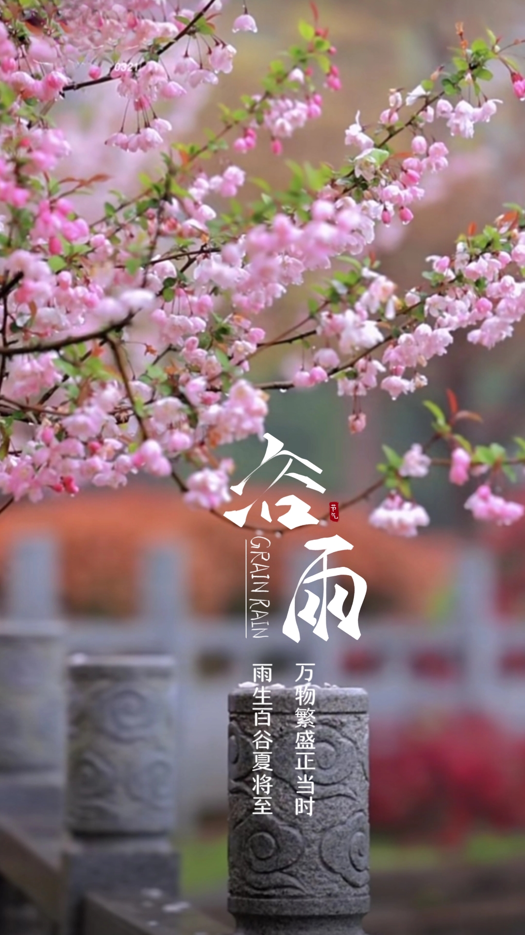 谷雨图片文案,壁纸海报. 春归谷雨,夏至未至.