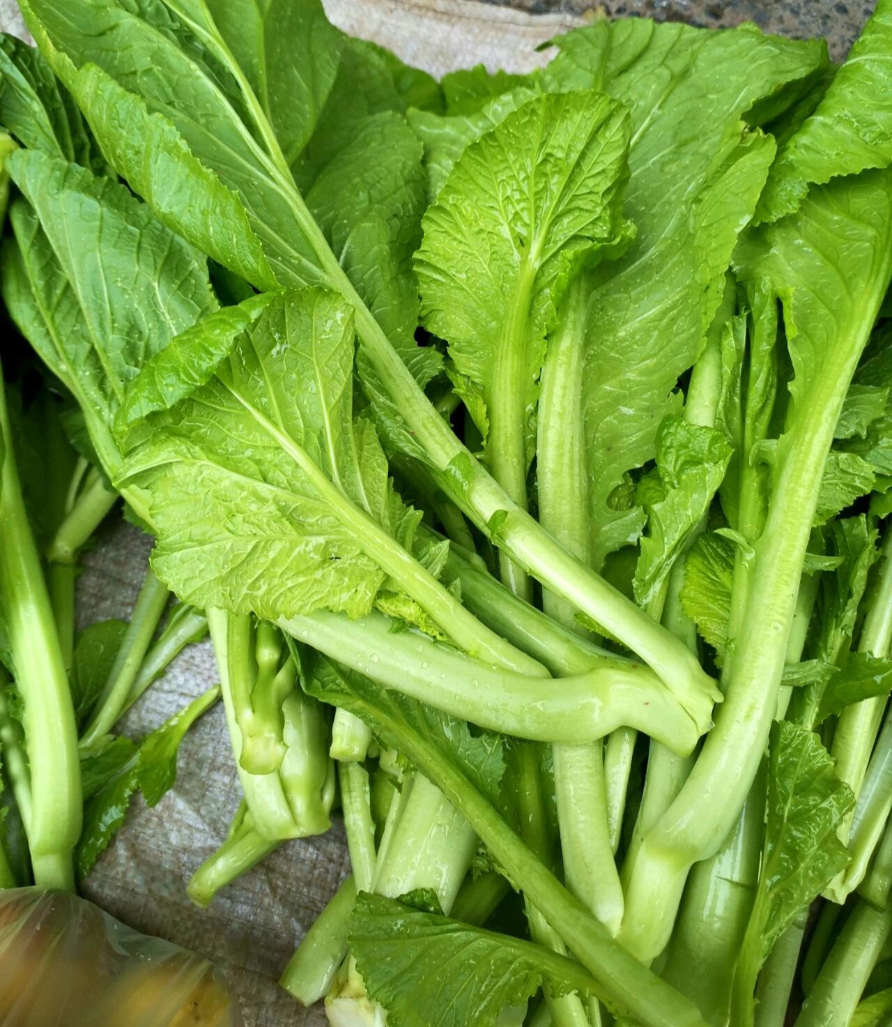 芥菜,是一种常见的蔬菜,它有着独特的风味和丰富的营养价值