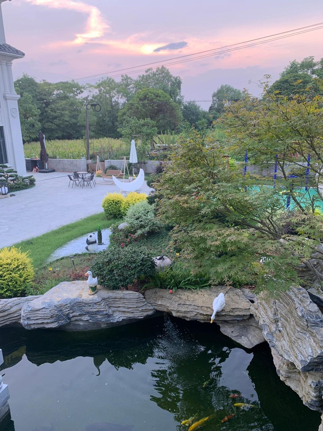 她决定不再在繁华的城市里内卷了,毅然决然地回到了