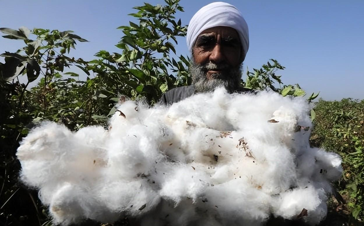 回顾吃了亏之后才知道纯棉和全棉不是一回事