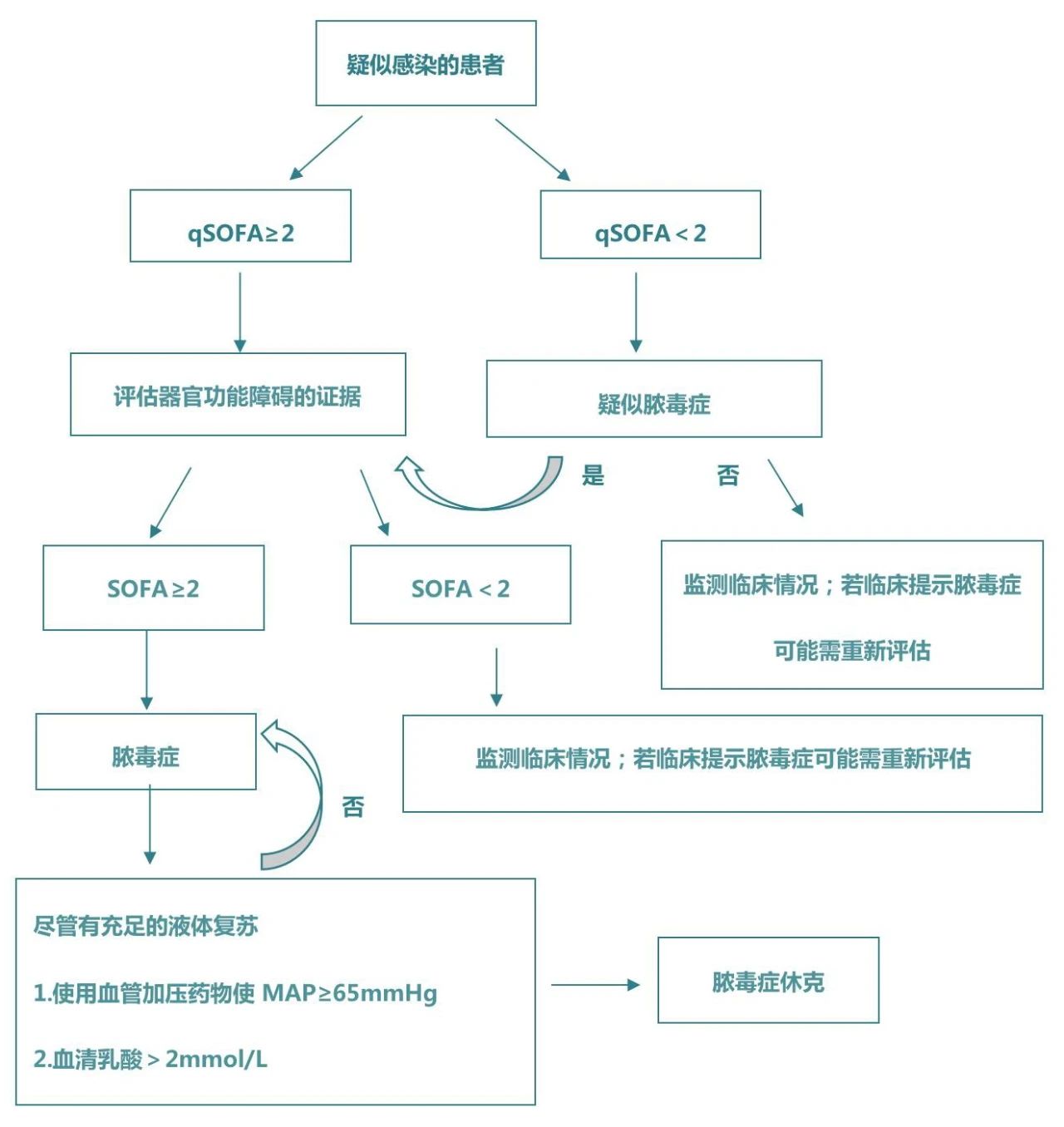 qsofa评分流程图图片