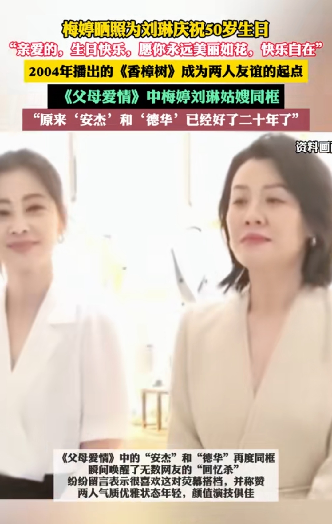 的《香樟树》成为两人友谊的起点 《父母爱情》中梅婷刘琳姑嫂同框 