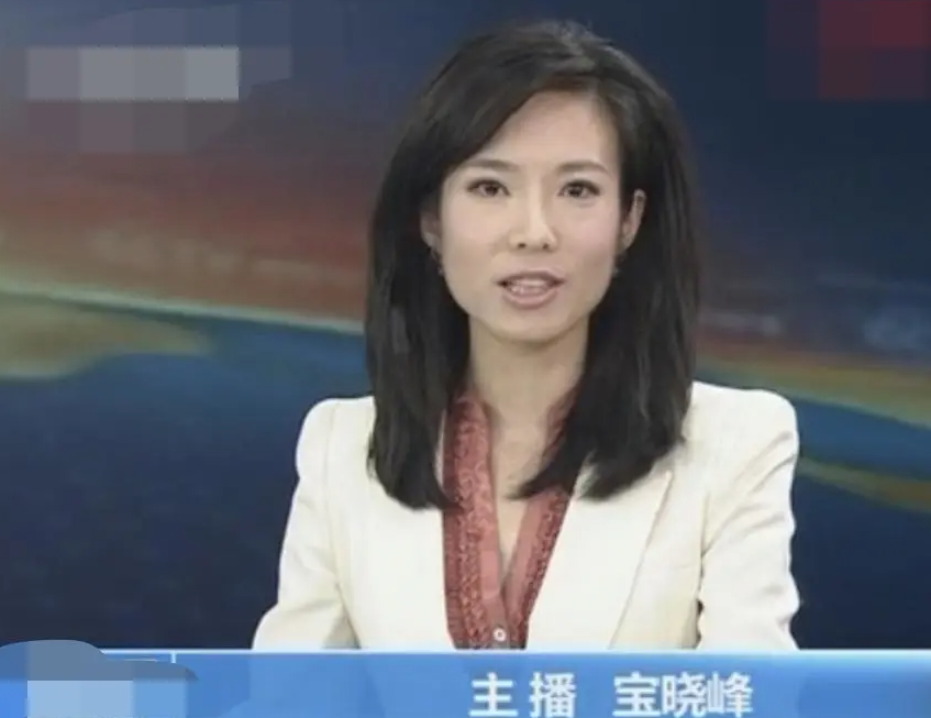 在众多的央视主持人当中,宝晓峰便是其中能力出色的一个人,依靠着自己