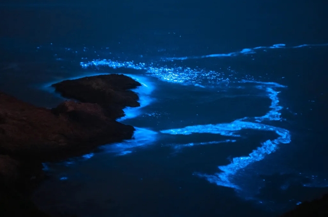 遇见茂名浪漫巴布几内湾追寻蓝眼泪邂逅茂名小垦丁