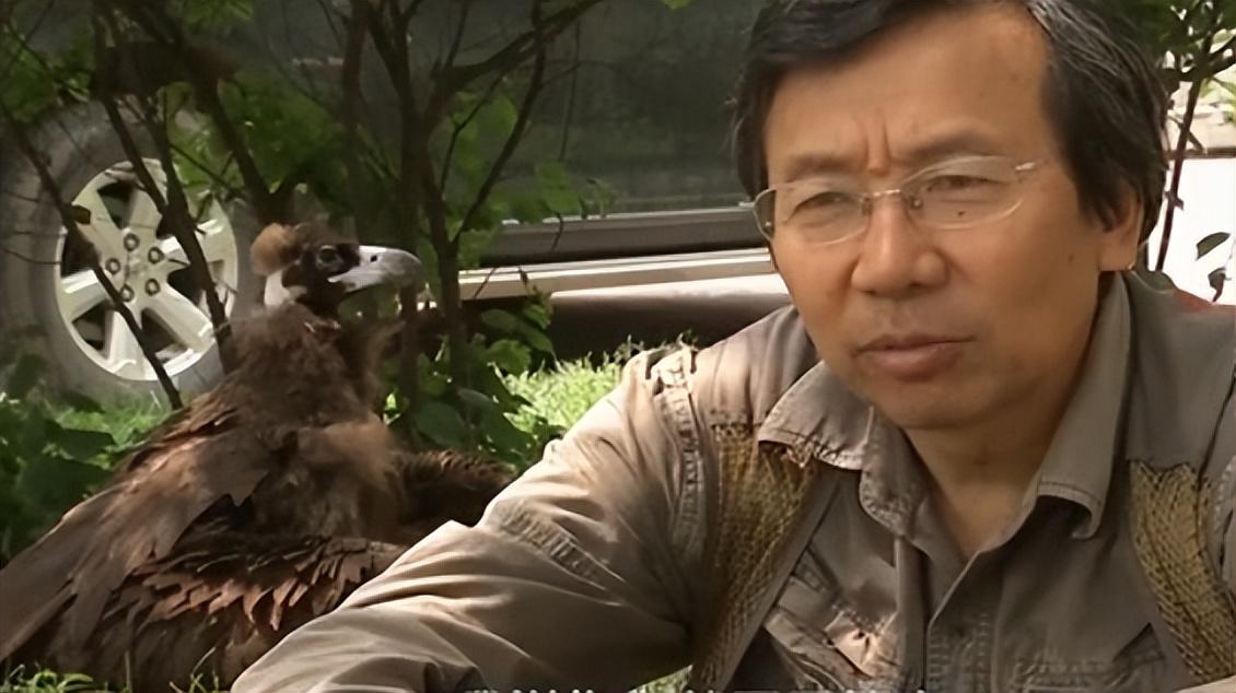 可谁知,当真正到了将它放生的时候,意外却发生了.