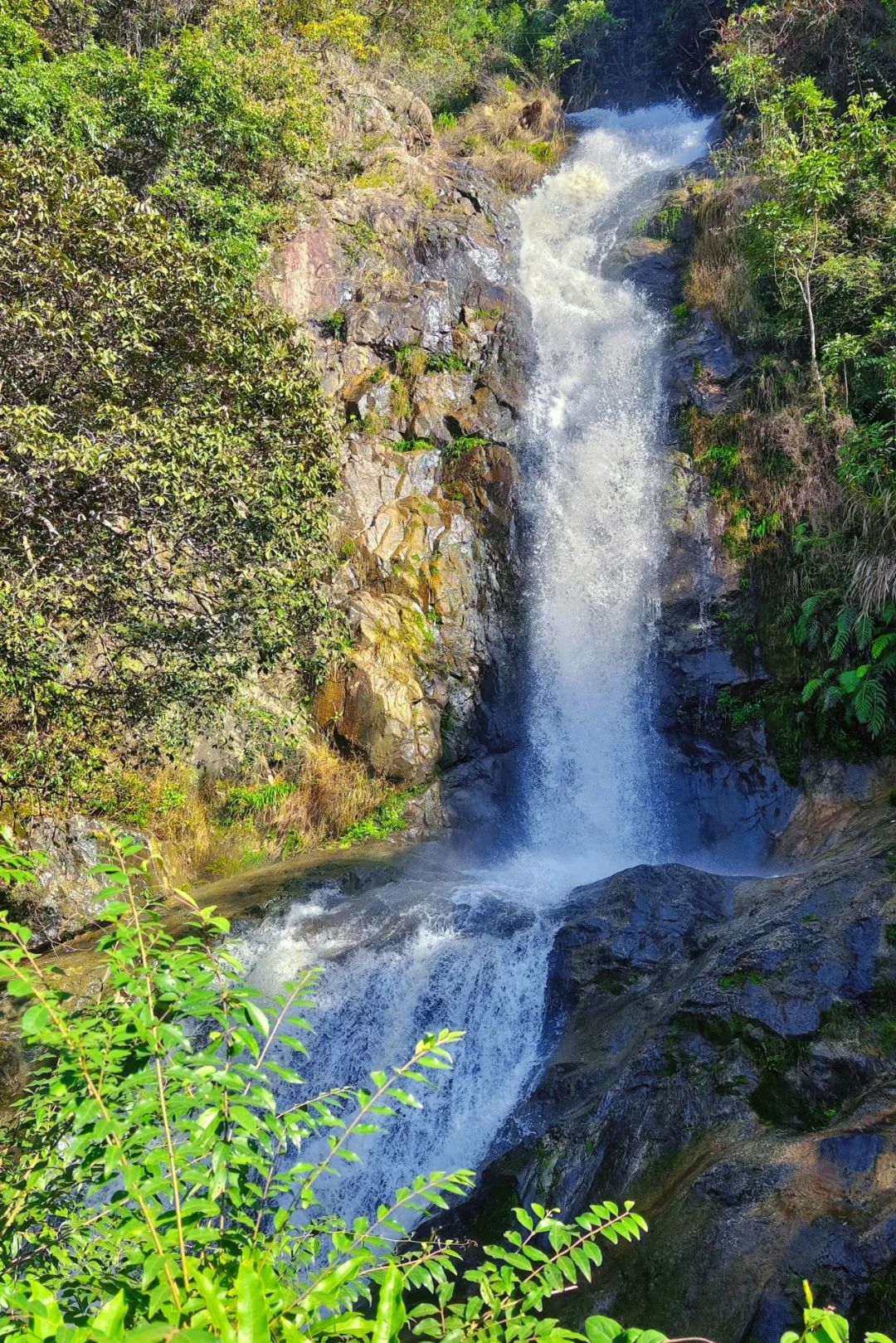 乐昌市田螺坑7云髻山省级自然保护区云髻山景区,主峰