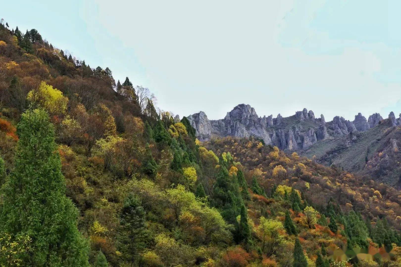 北山国家森林公园,色彩与自然相辉映,层林尽染的景色真美