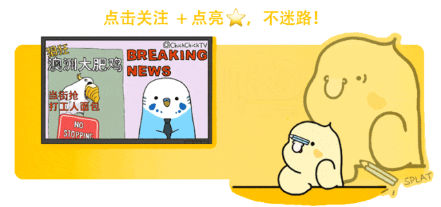 户外直播鹦鹉突然扑身上主播被吓到拍飞鹦鹉网友这是恐鸟症