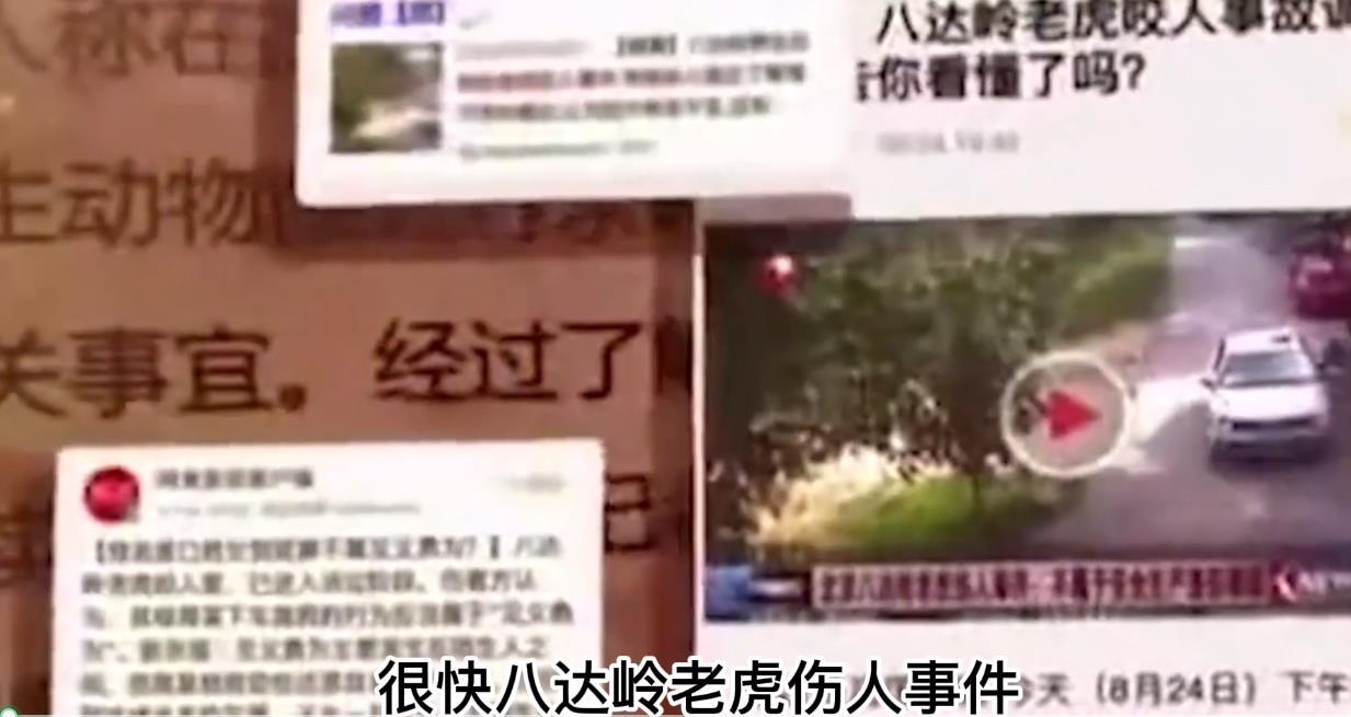 2016年八达岭老虎咬人案虎口逃生女子索赔155万最后怎样了