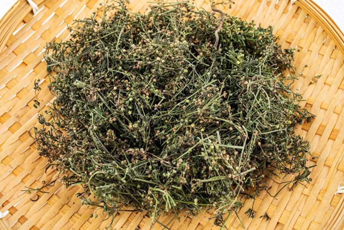 一花一草相配,能散结消瘤,治各种囊肿,肌瘤等有形之物